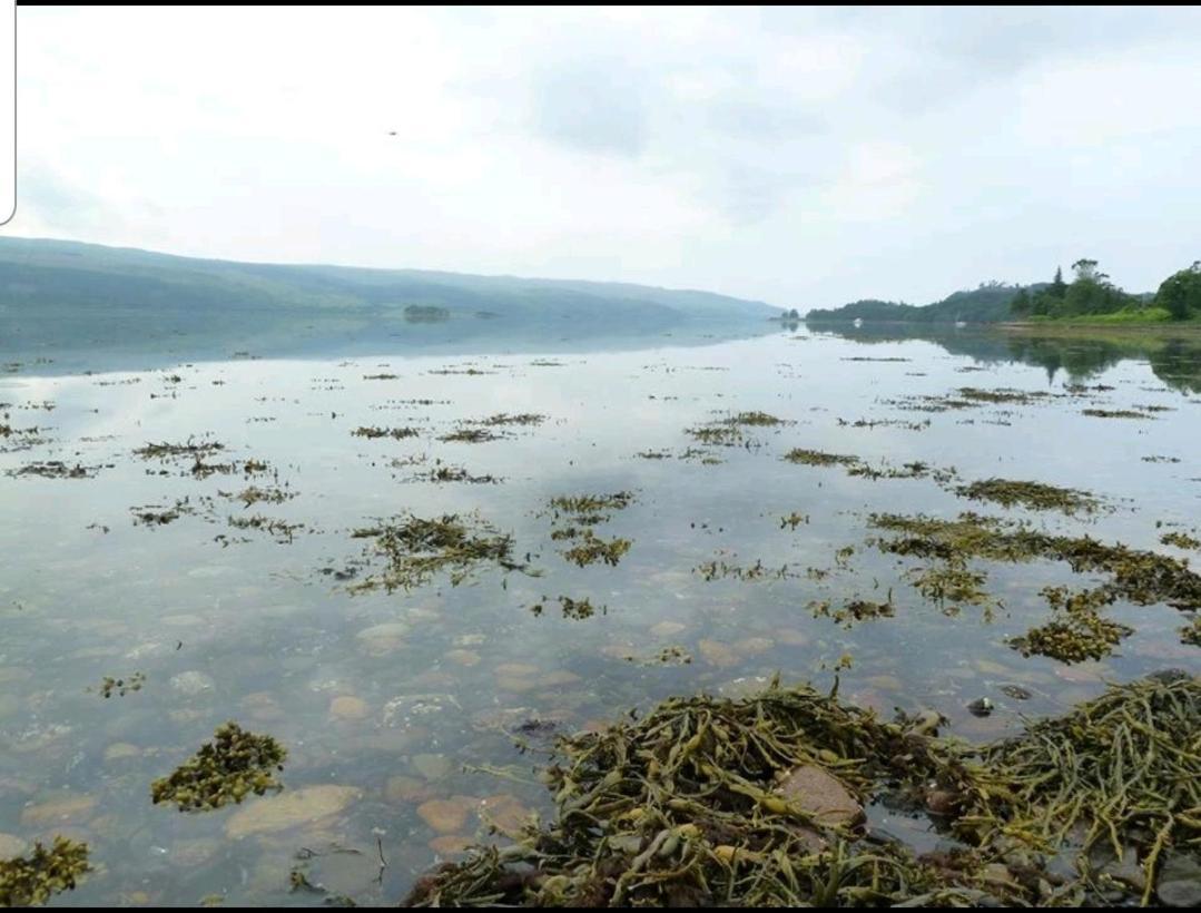 Quirky Lochside Home Inveraray Exterior foto
